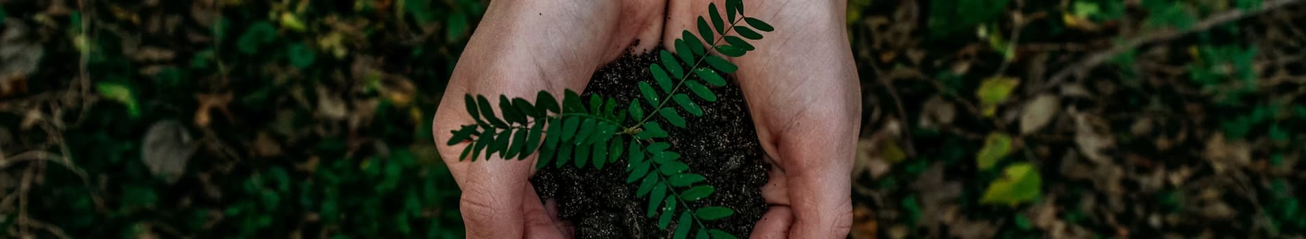 Festive gathering at Annavi Saraswathi Temple
